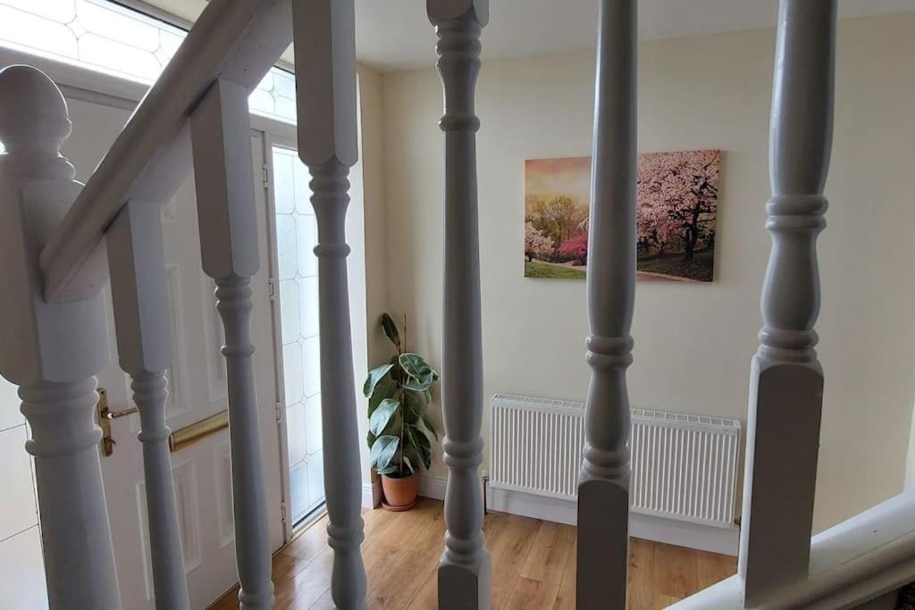 Modern Countryside Apartment Killmallock Lodge Enniscorthy Exterior foto